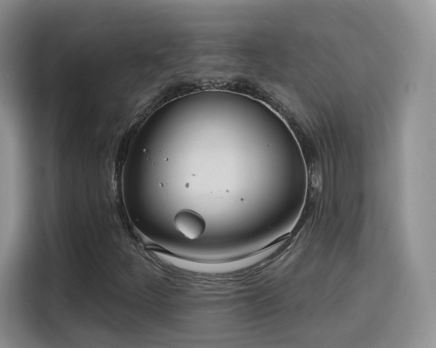 X0000115831252200911201458