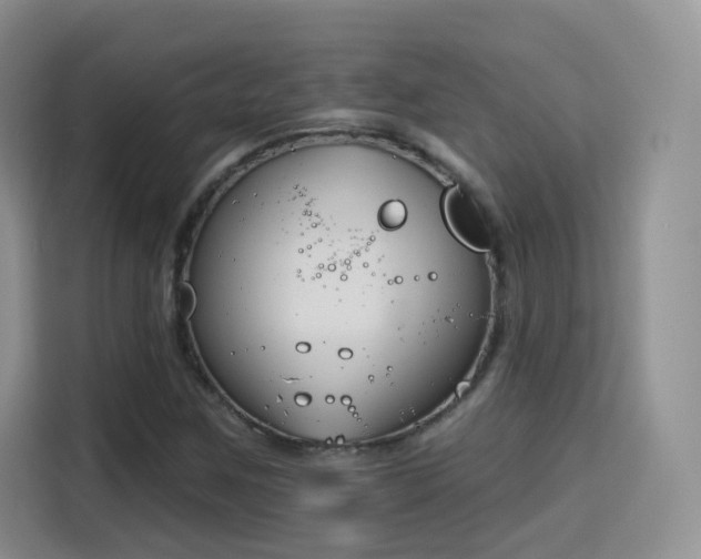 X0000115831259200911201458