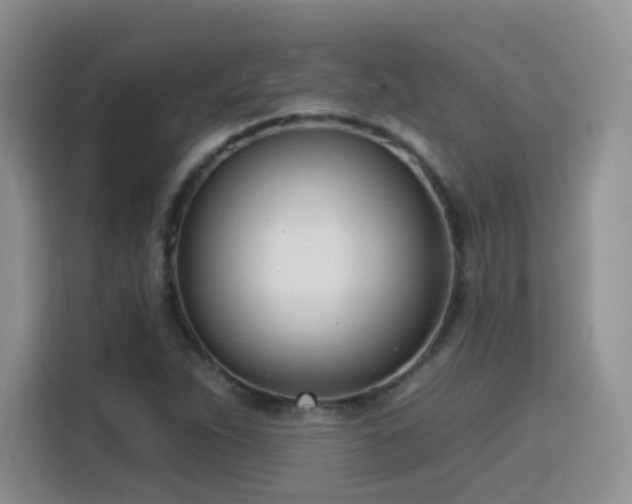 X0000115831263200911201458