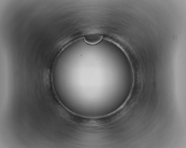 X0000115831265200911201458