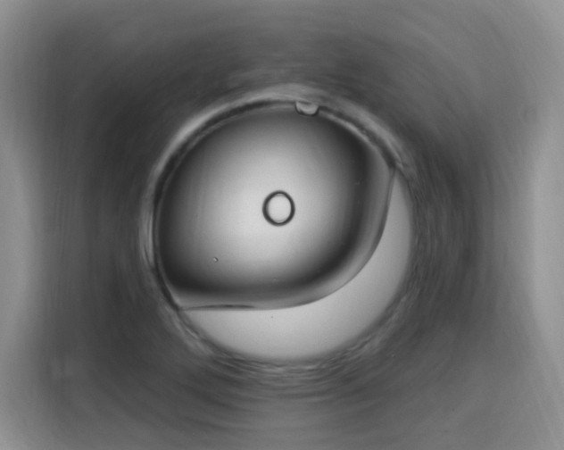 X0000115831272200911201458