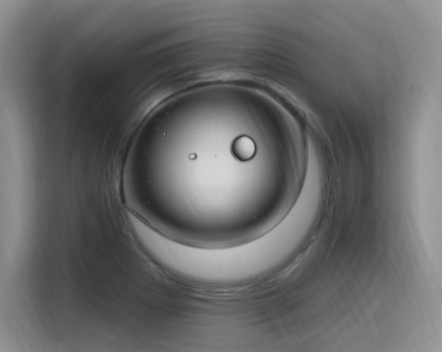 X0000115831273200911201458