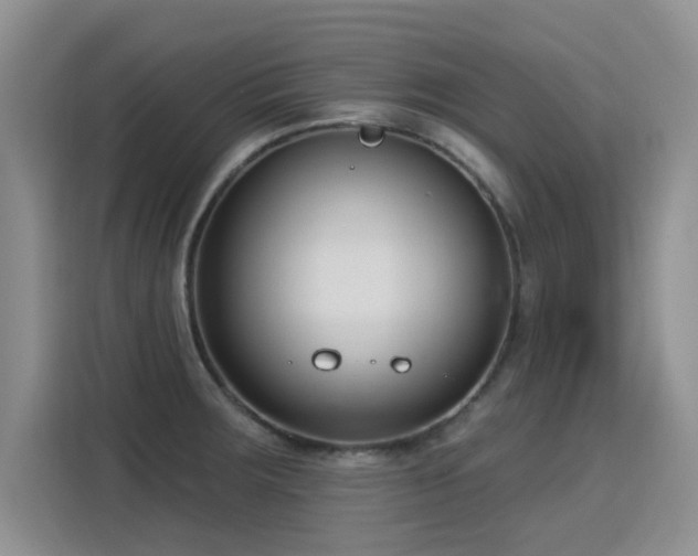 X0000115831283200911201458