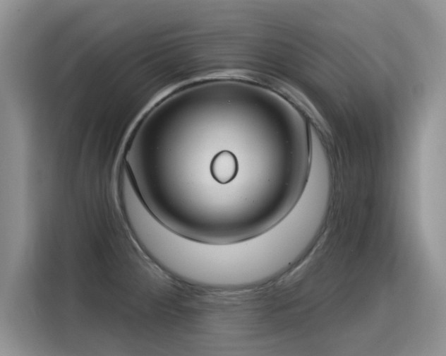 X0000115831284200911201458