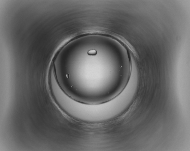 X0000115831285200911201458