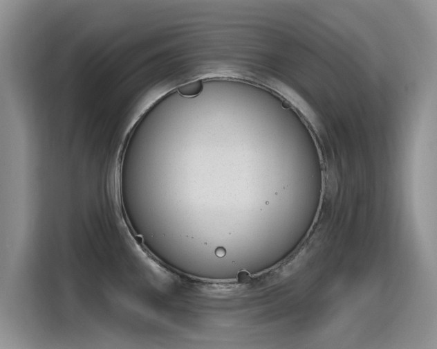 X0000115831290200911201458