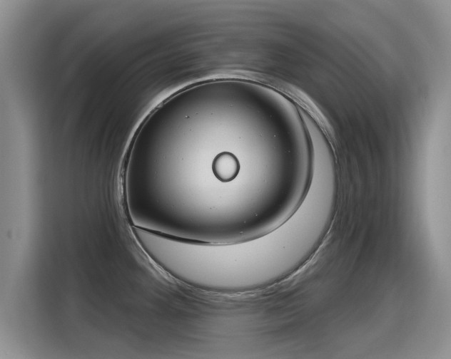 X0000115831292200911201458