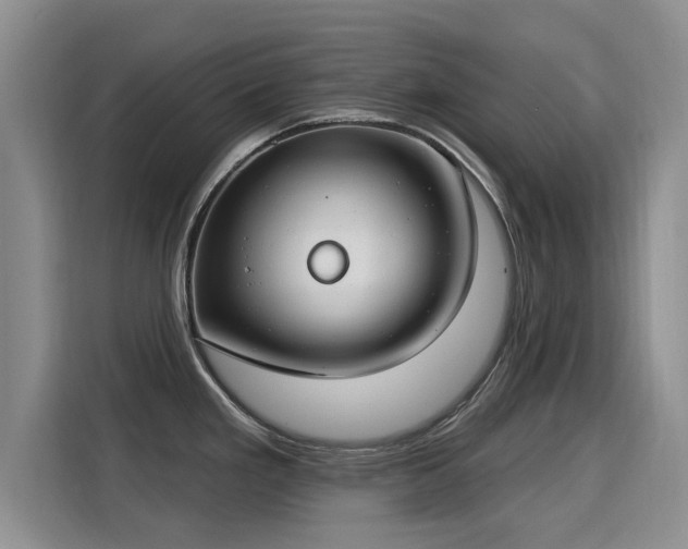 X0000115831293200911201458