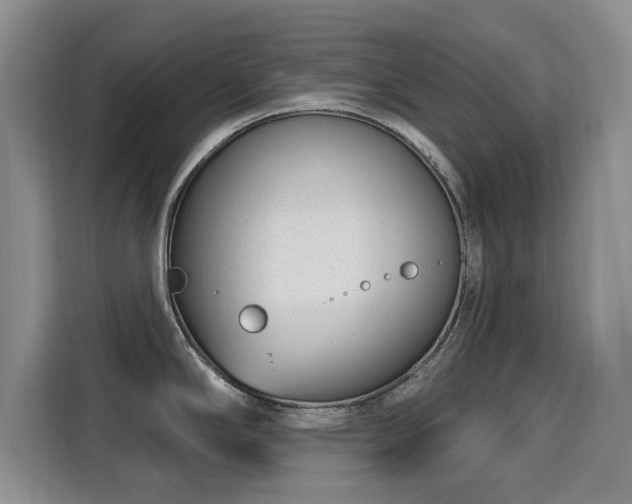 X0000115831294200911201458