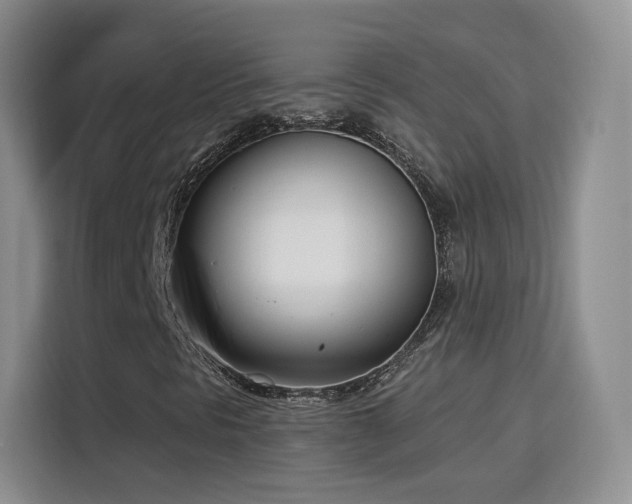 X0000115831297200911201457