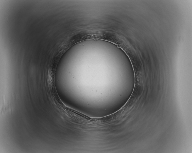 X0000115831298200911201457