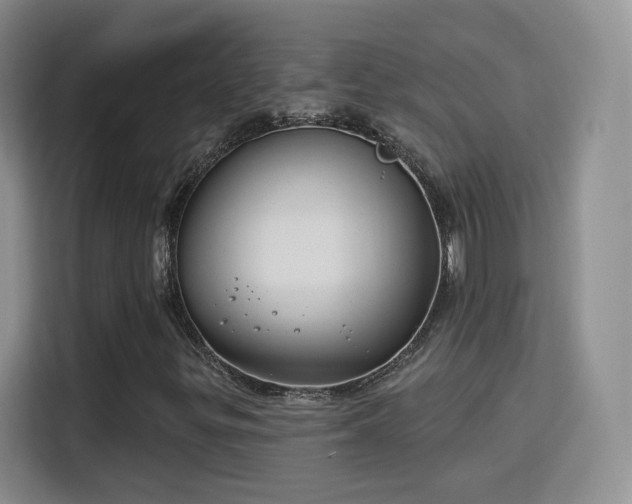 X0000115831299200911201457