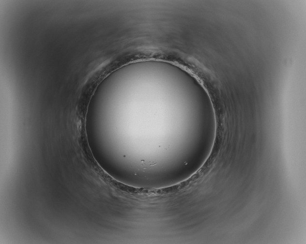 X0000115831302200911201457