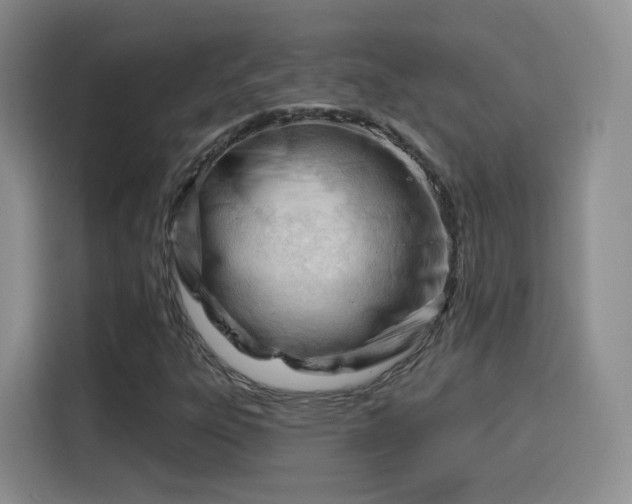 X0000115831303200911201457