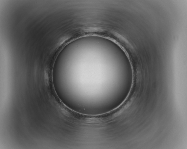 X0000115831305200911201457