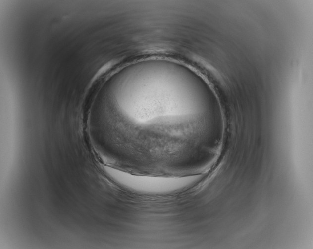 X0000115831306200911201457