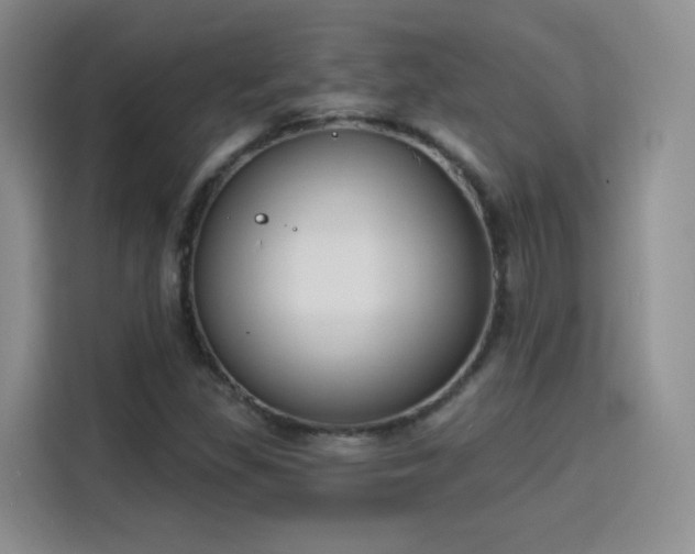 X0000115831309200911201457