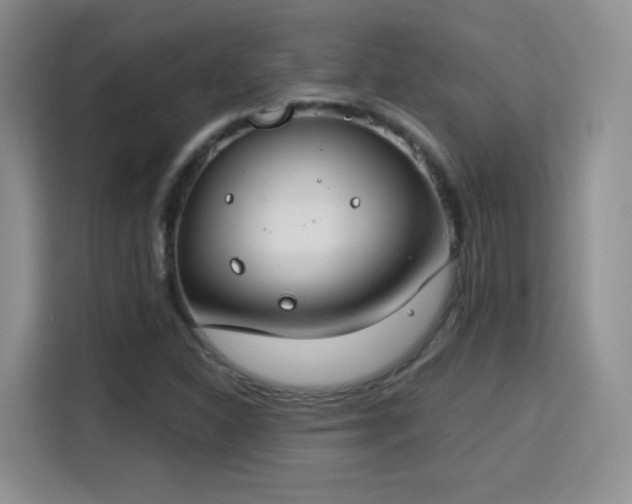 X0000115831310200911201457