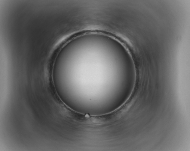 X0000115831311200911201457