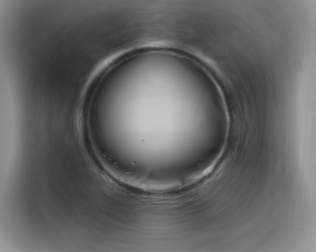 X0000115831319200911201457