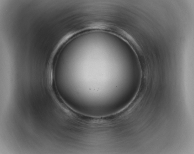 X0000115831323200911201457