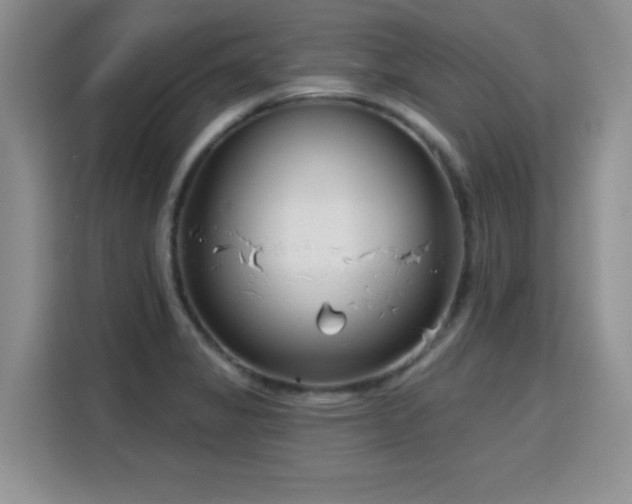 X0000115831325200911201457