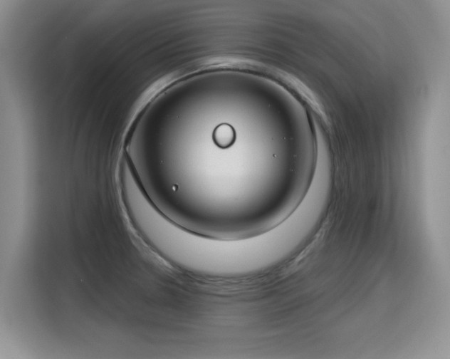 X0000115831330200911201457