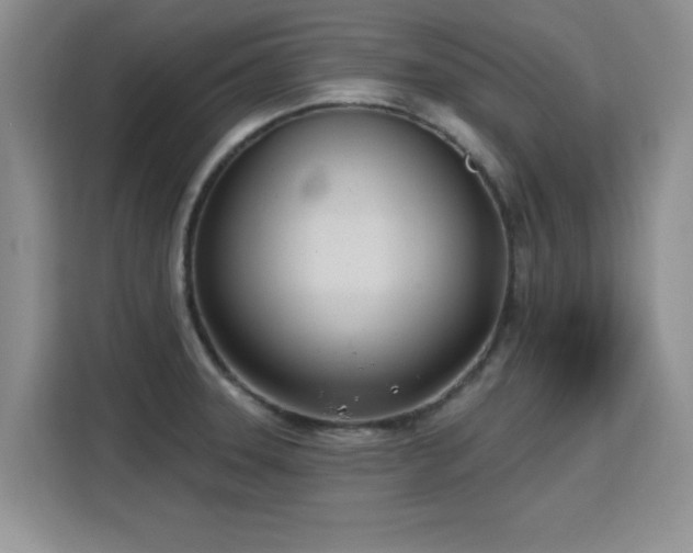 X0000115831331200911201457