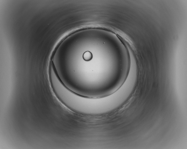 X0000115831334200911201457