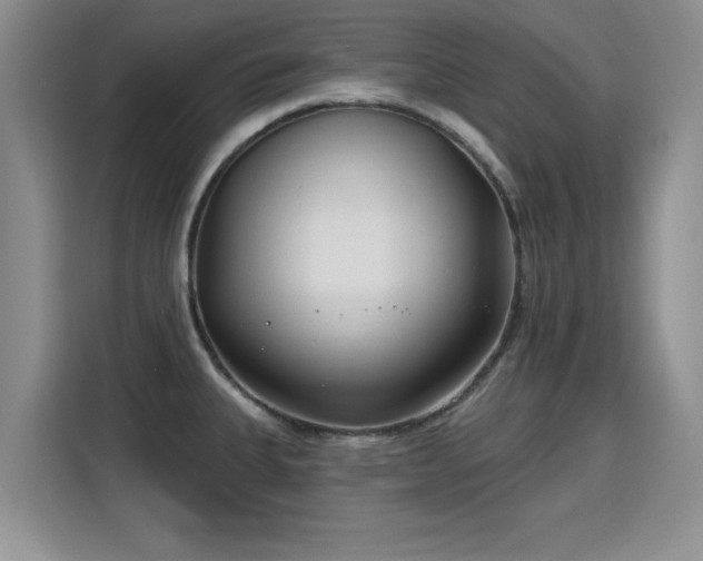 X0000115831335200911201457