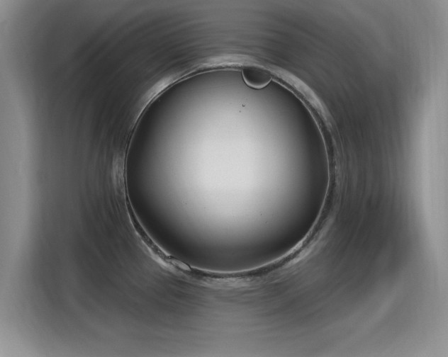 X0000115831337200911201457