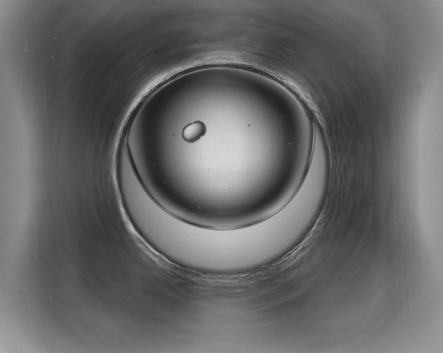 X0000115831342200911201458