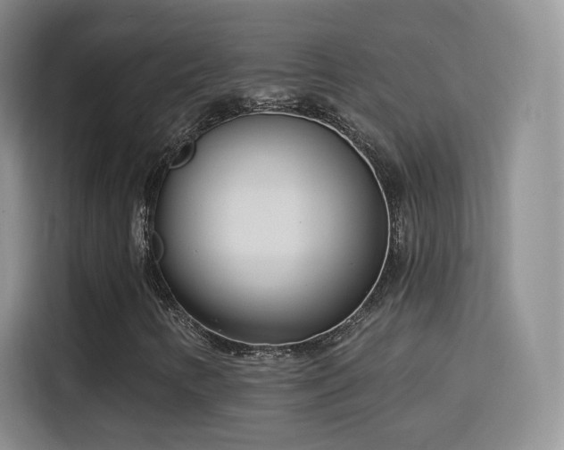 X0000115831346200911201457