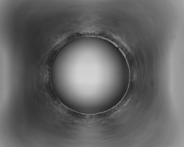 X0000115831350200911201457