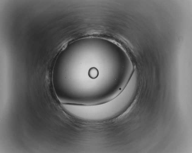 X0000115831353200911201457