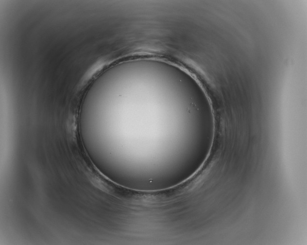 X0000115831355200911201457