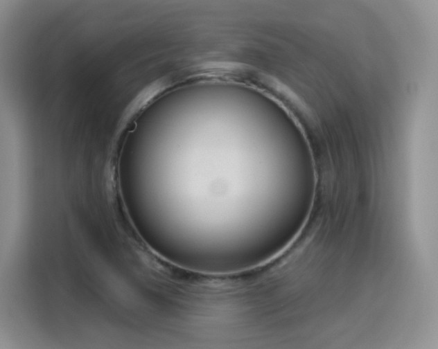 X0000115831362200911201457