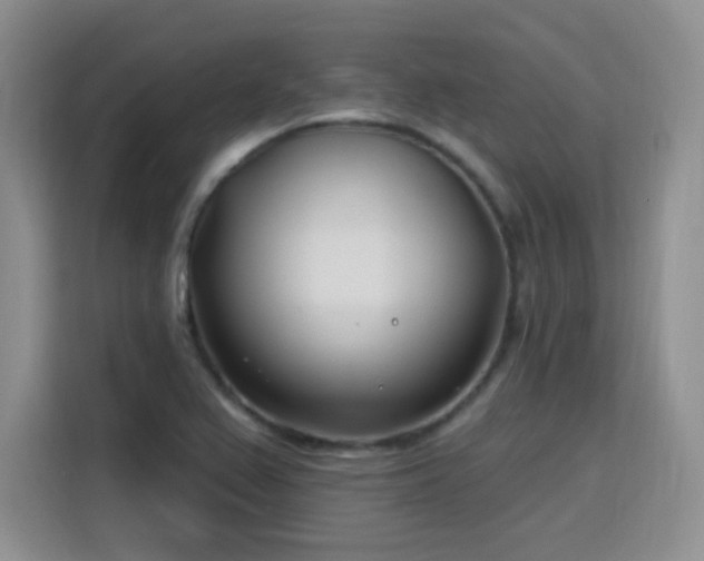 X0000115831367200911201457