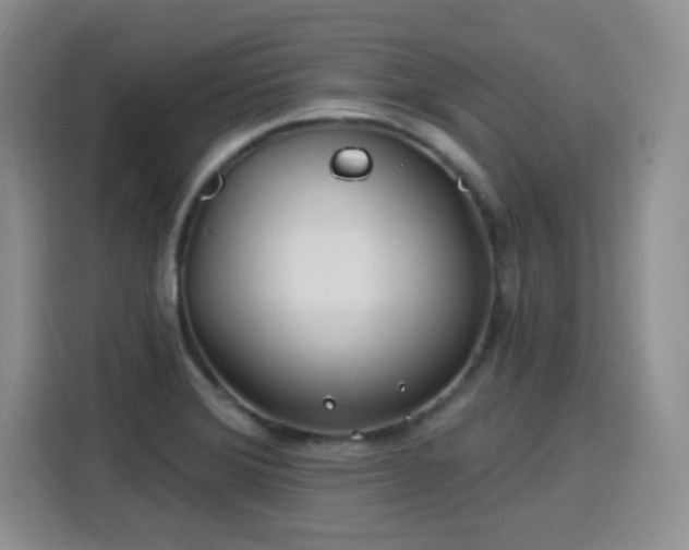 X0000115831372200911201457