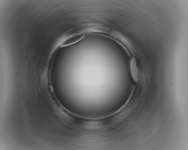 X0000115831373200911201457