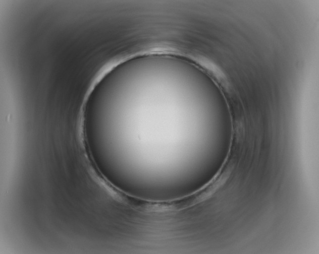 X0000115831374200911201457