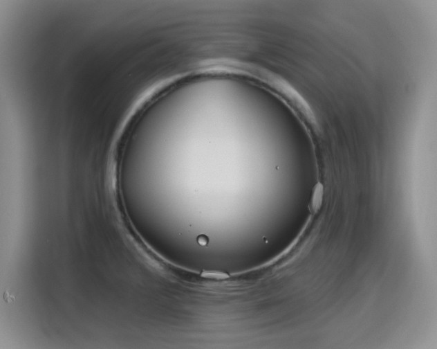 X0000115831376200911201457