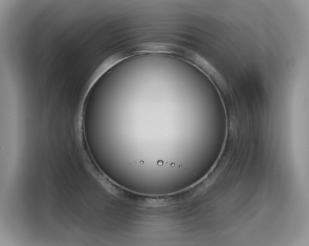 X0000115831378200911201457