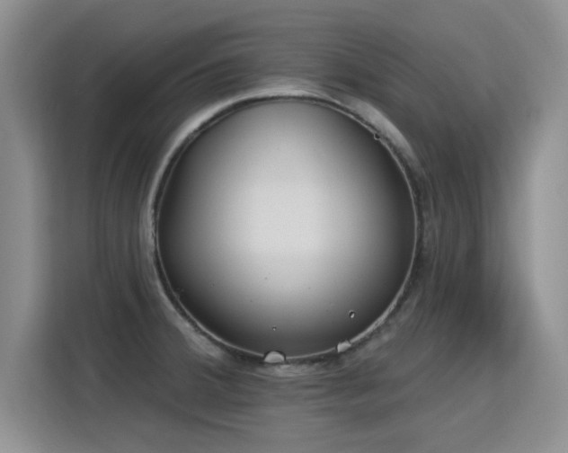 X0000115831380200911201456