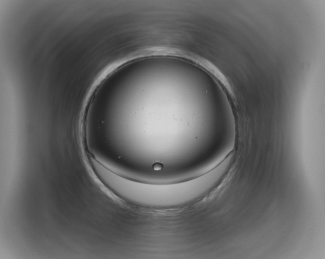 X0000115831381200911201456