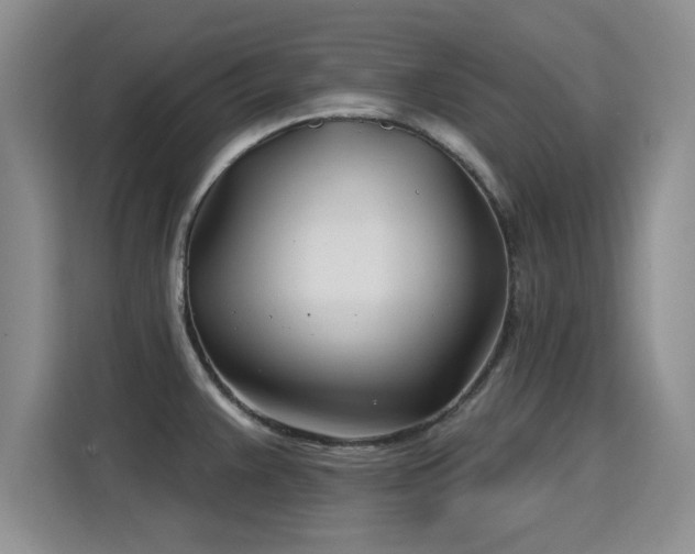 X0000115831383200911201456