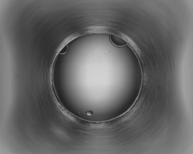 X0000115831386200911201456