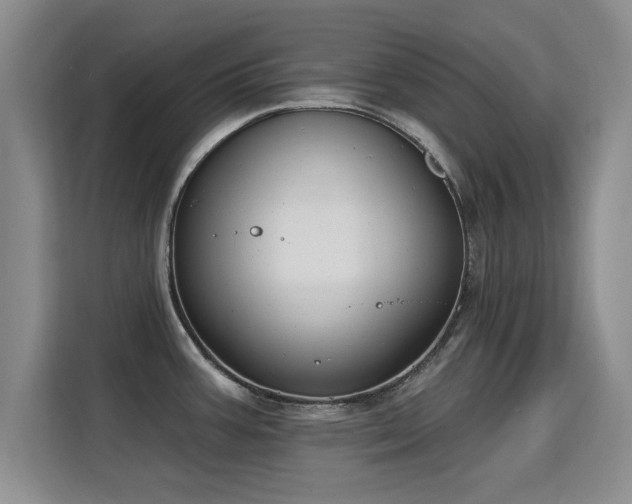 X0000115831387200911201456