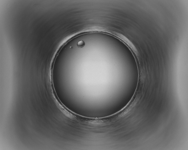 X0000115831388200911201456