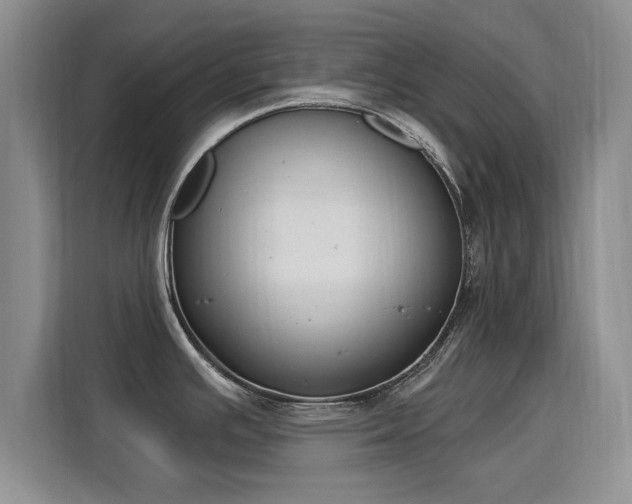 X0000115831391200911201456